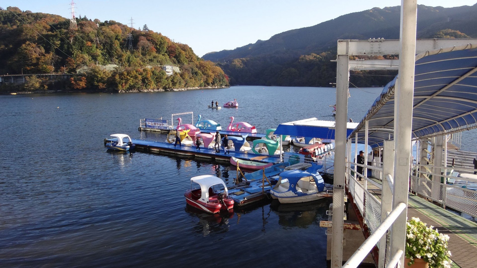 Lake Sagami excursion boat, rowing a small boat