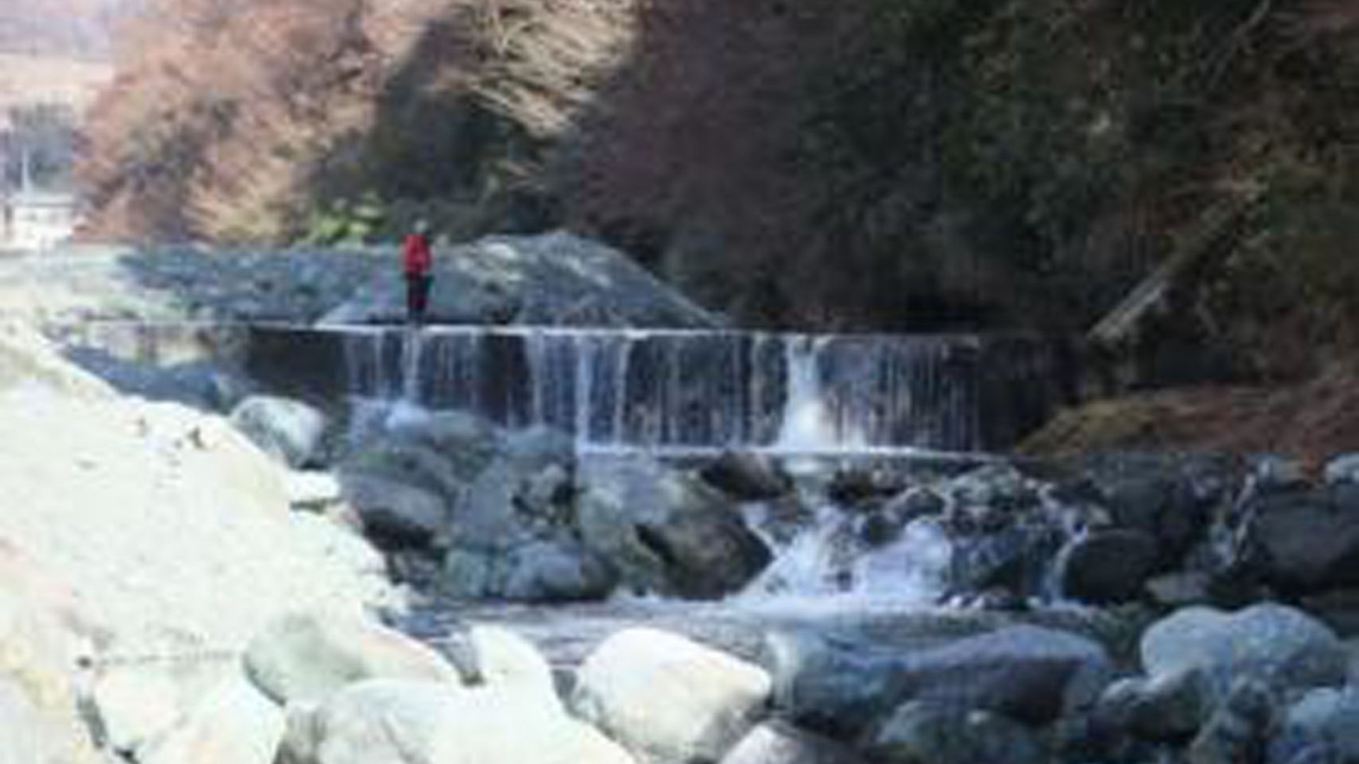 Pesca de truchas Yadoriki Seiryu