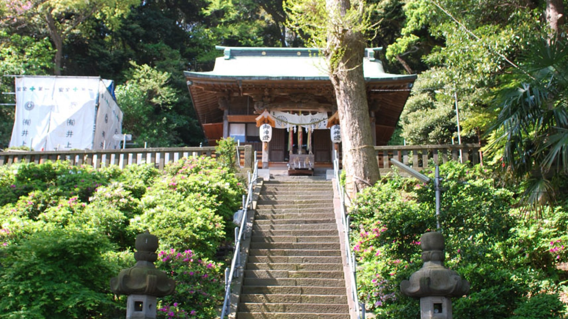 走水神社- 目的地- Tokyo Day Trip