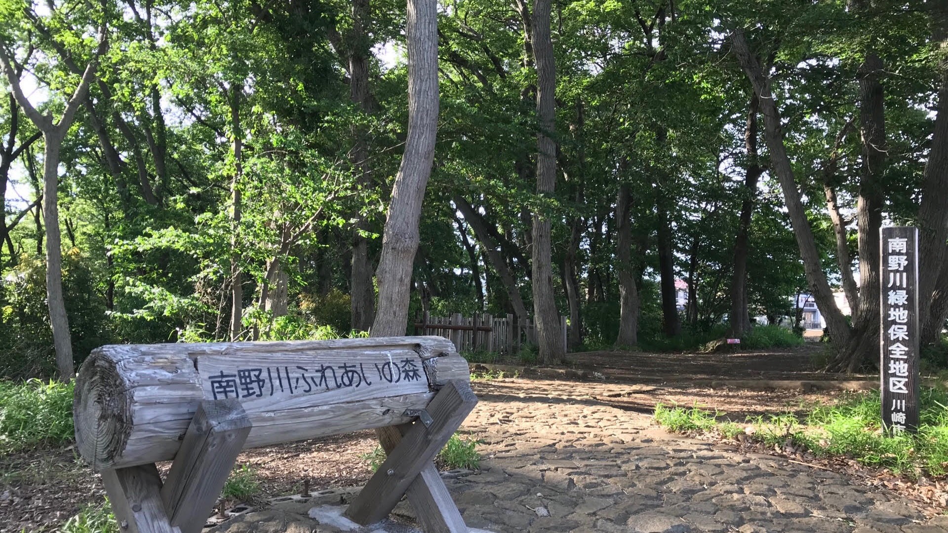 Forêt Minami Nogawa Fureai