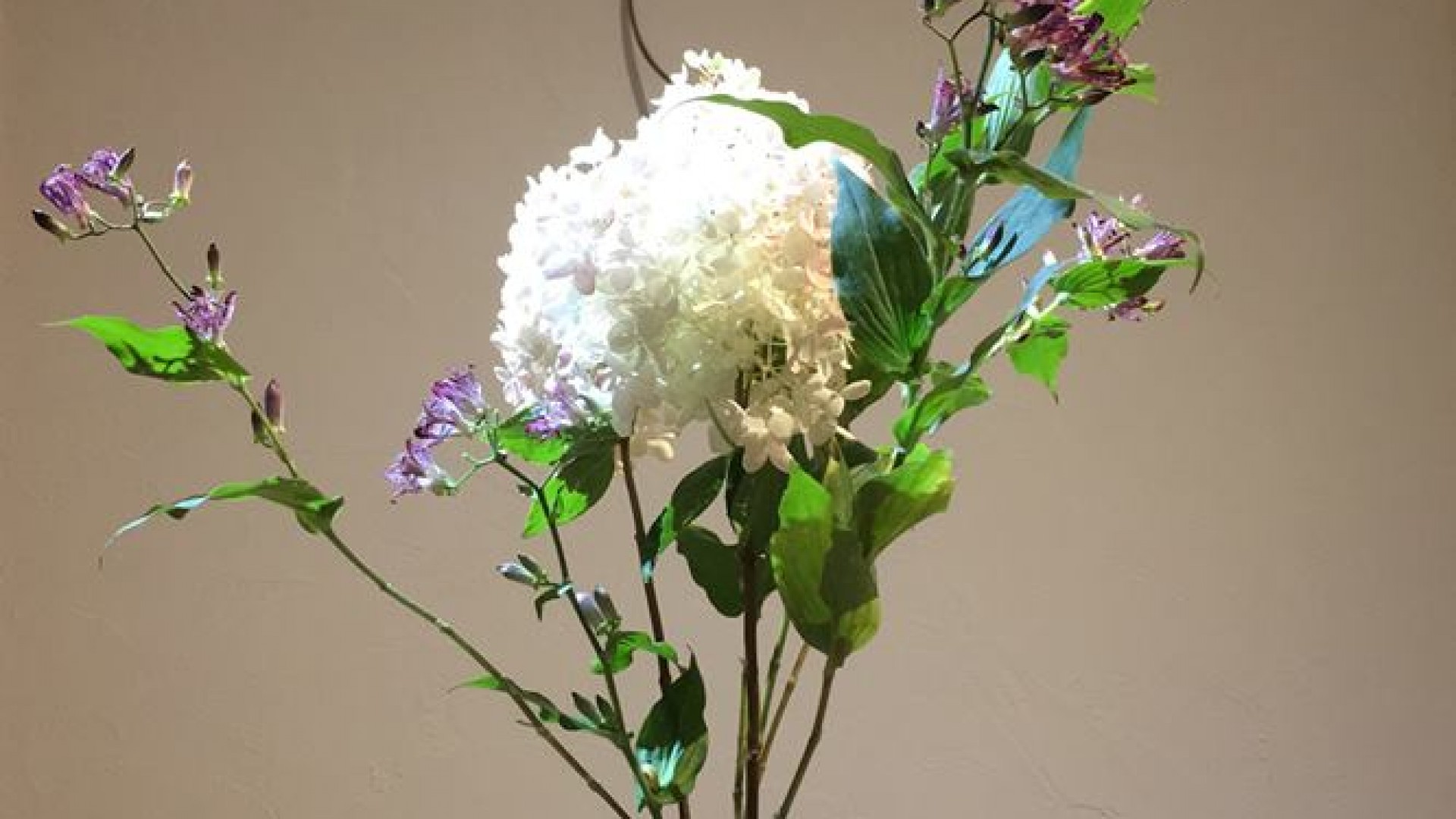 Ohana de Ohanashi Sogetsu-Schule Ikebana-Studio fworks