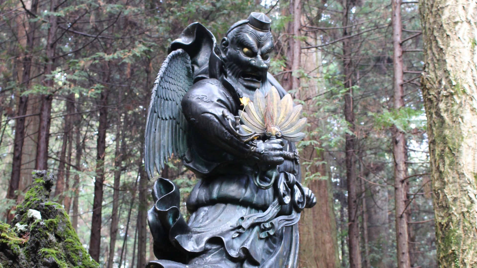 Discover the Zen Spiritual Experience with a Volunteer Guide in Saijoji Temple