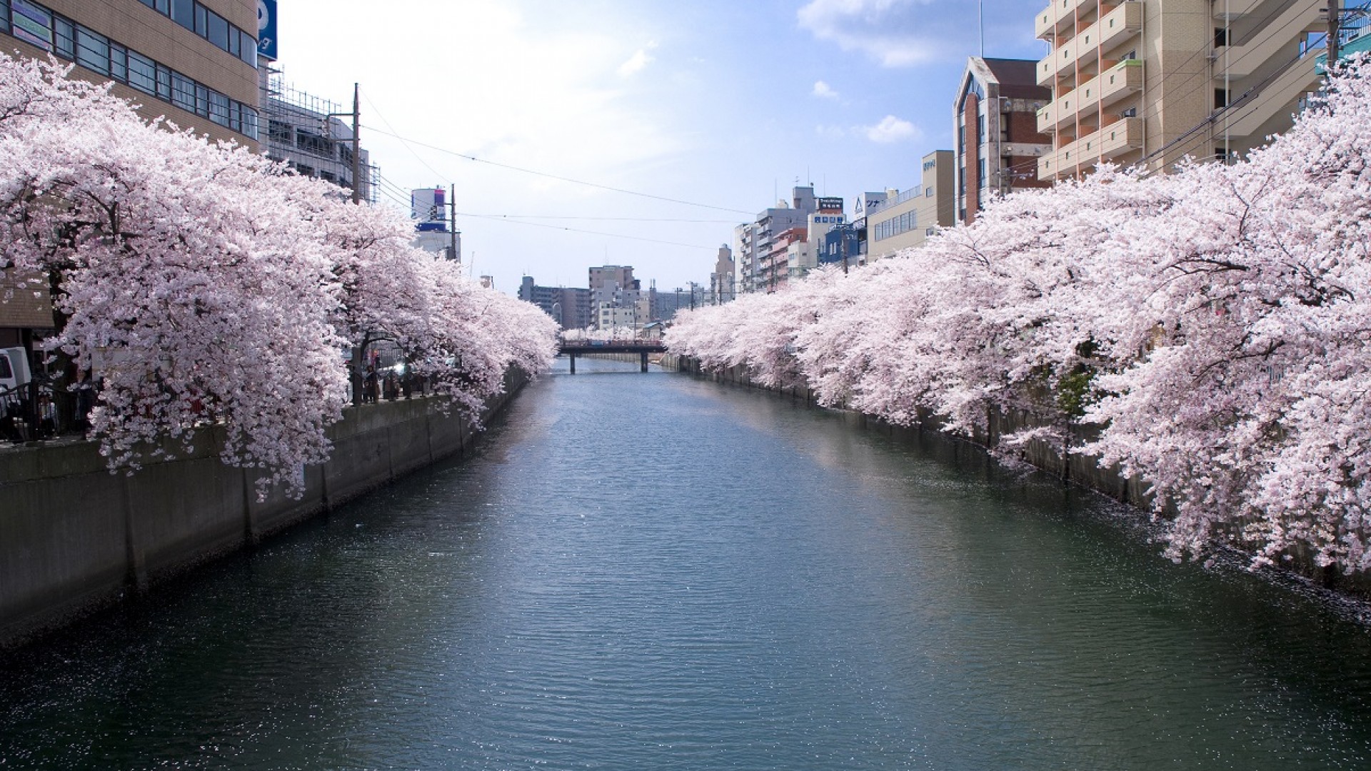 大岡川プロムナード 目的地 Tokyo Day Trip 東京から神奈川への日帰り旅行