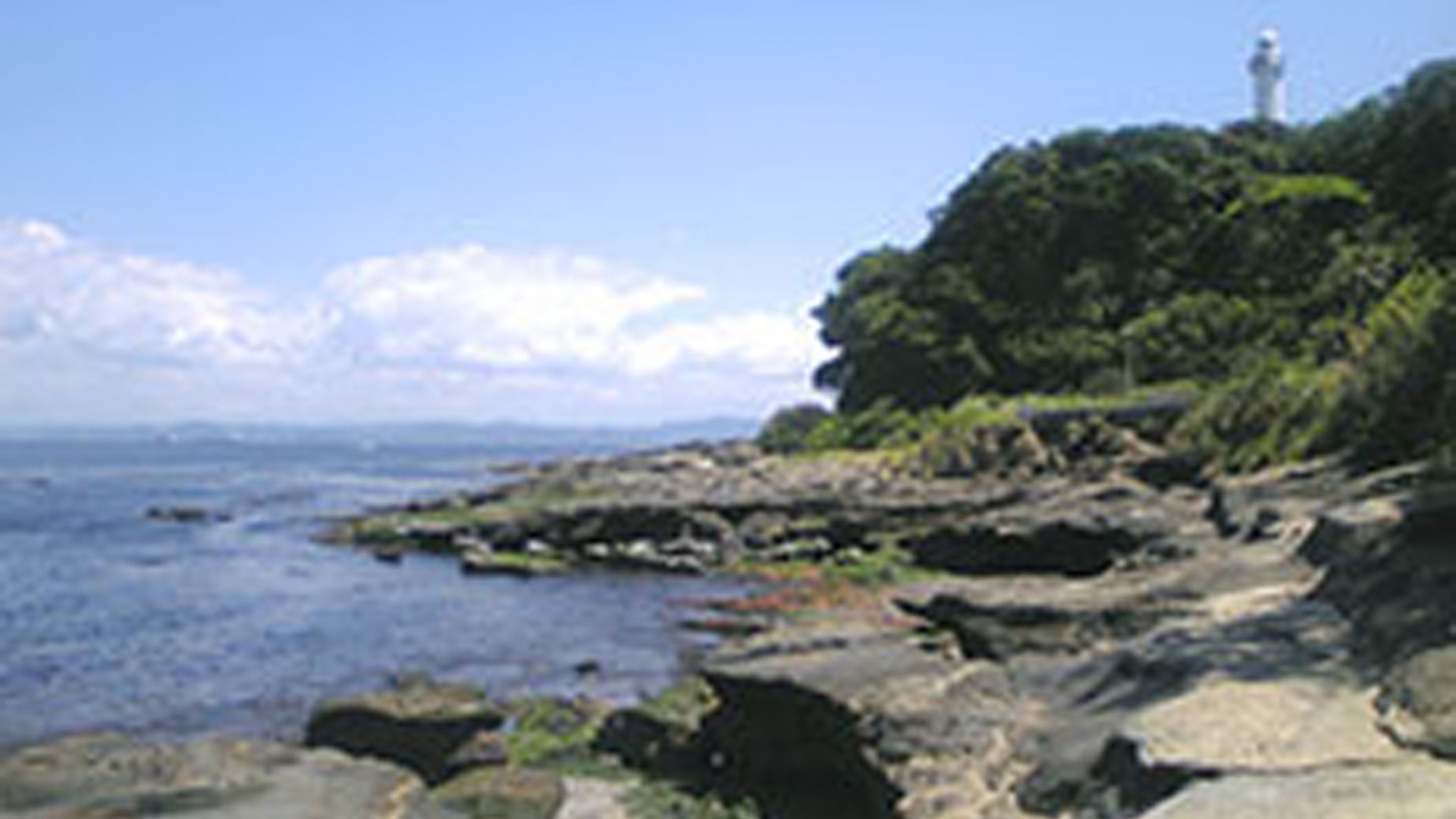 해안 정원