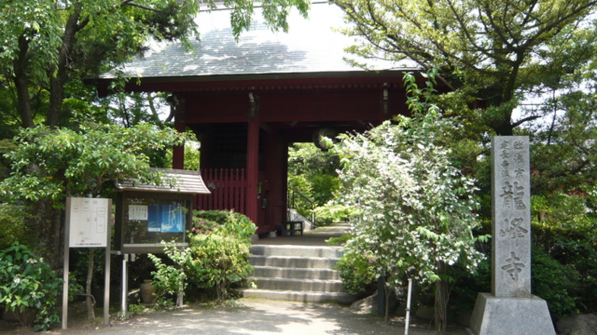 龍峰寺(木造千手観音立像)