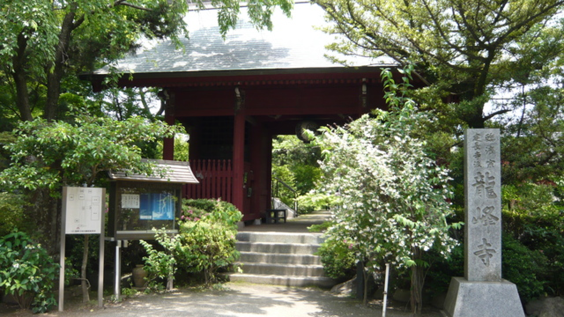 Ryuhoji (Senju-kannon en bois)