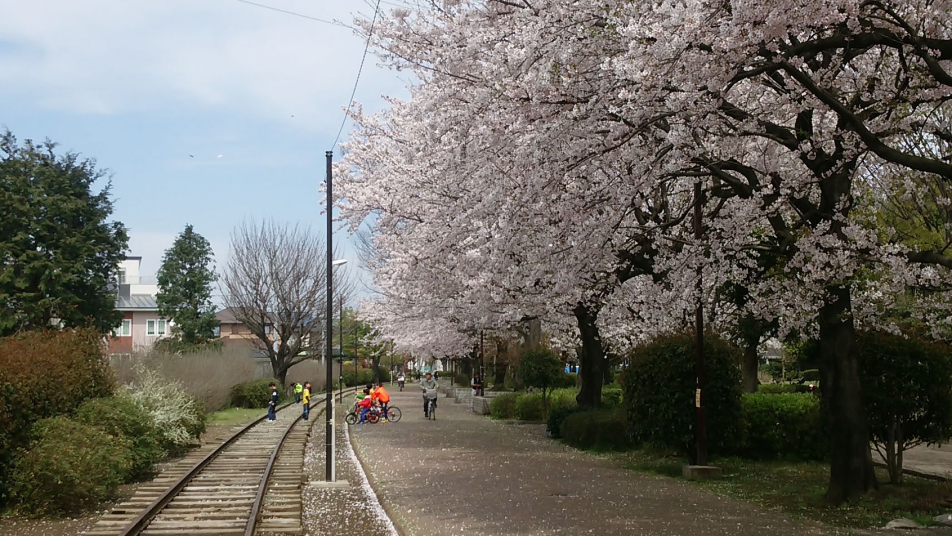 Con đường cây xanh Ichinomiya