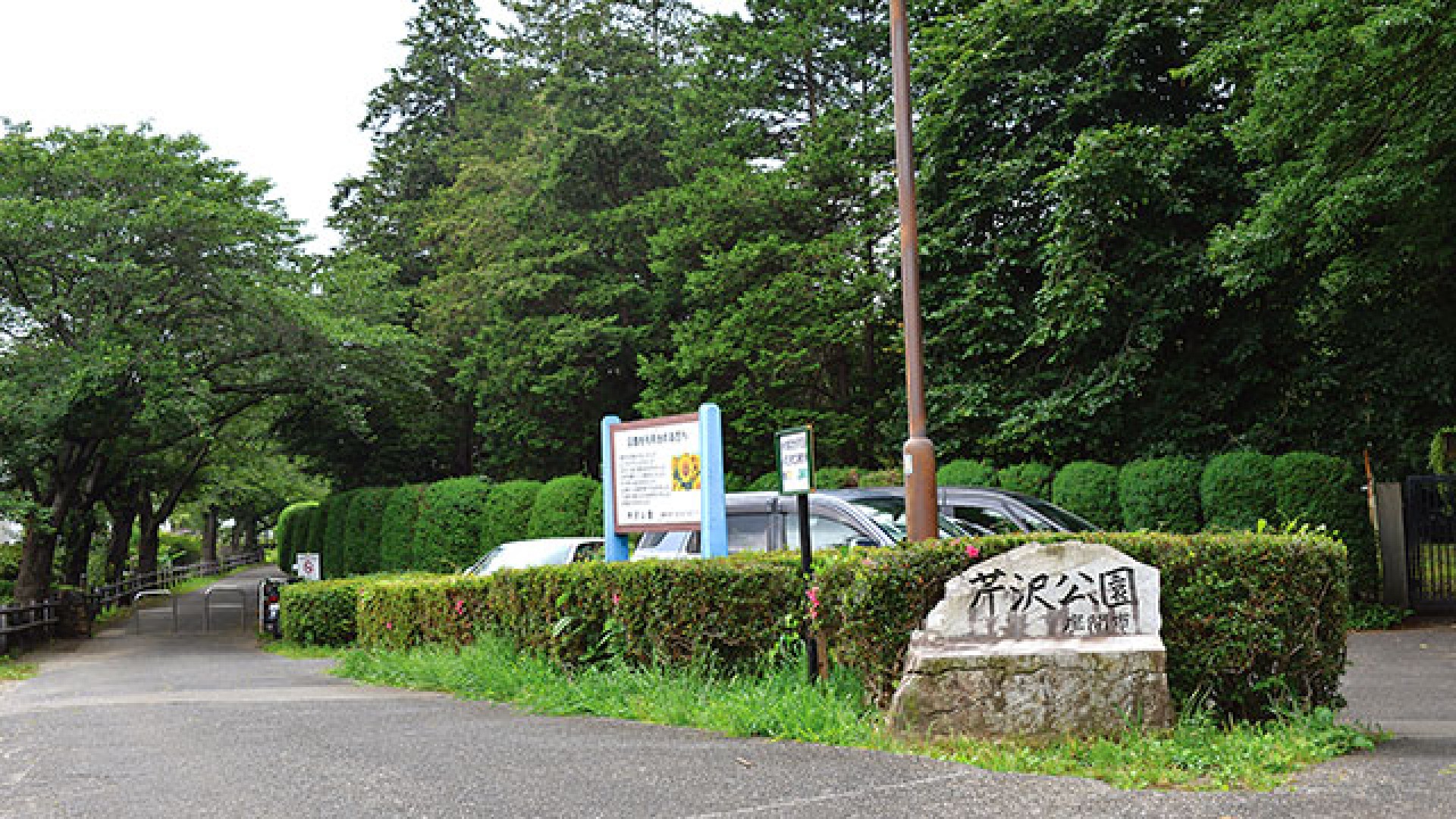 芹沢公園