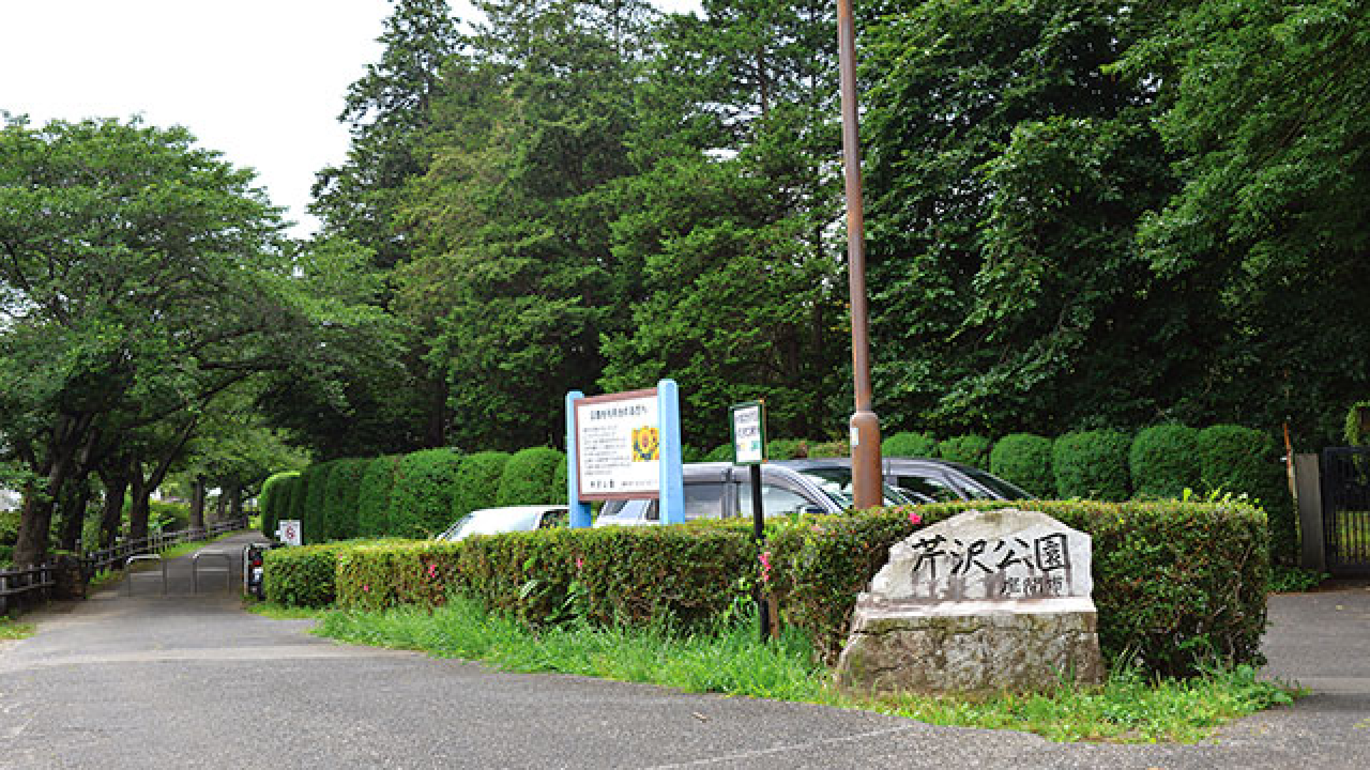 세리자와 공원