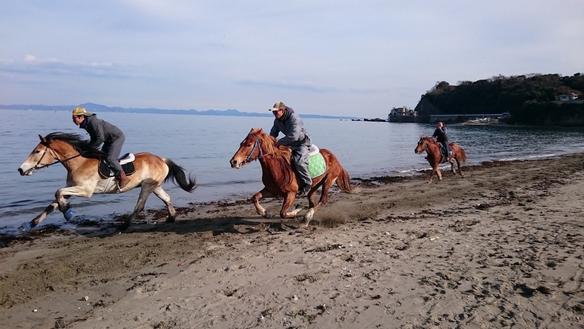 Balade à cheval ferme de Miurakaigan