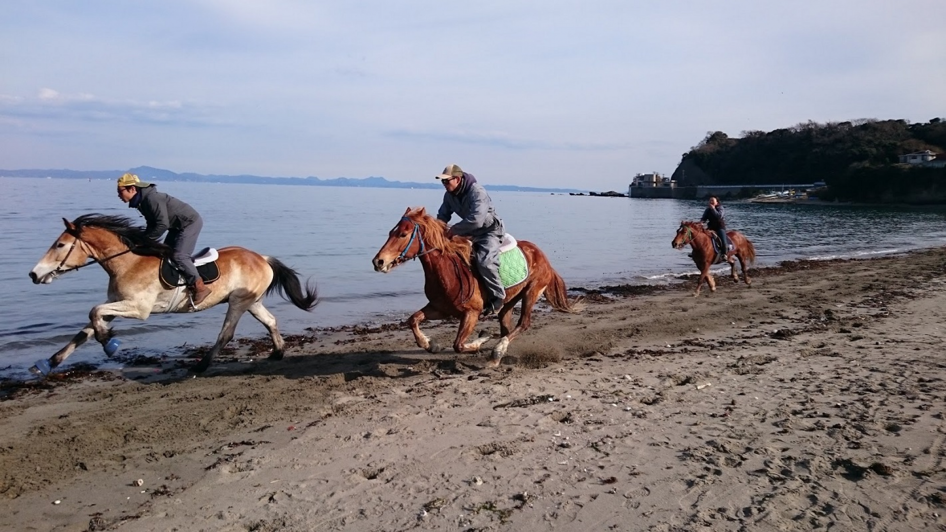 Horse Trekking Farm Miura Kaigan