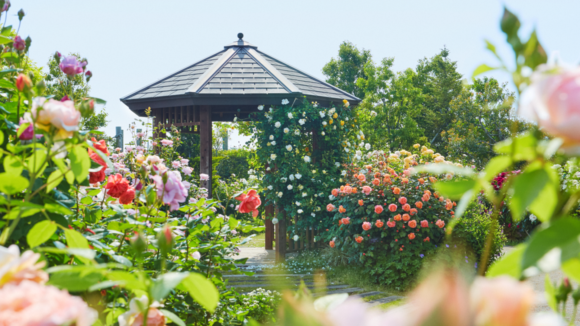 Präfekturzentrum für Blumen und Grünanlagen in Kanagawa, Kana Garten (Gemüse und Blumen)