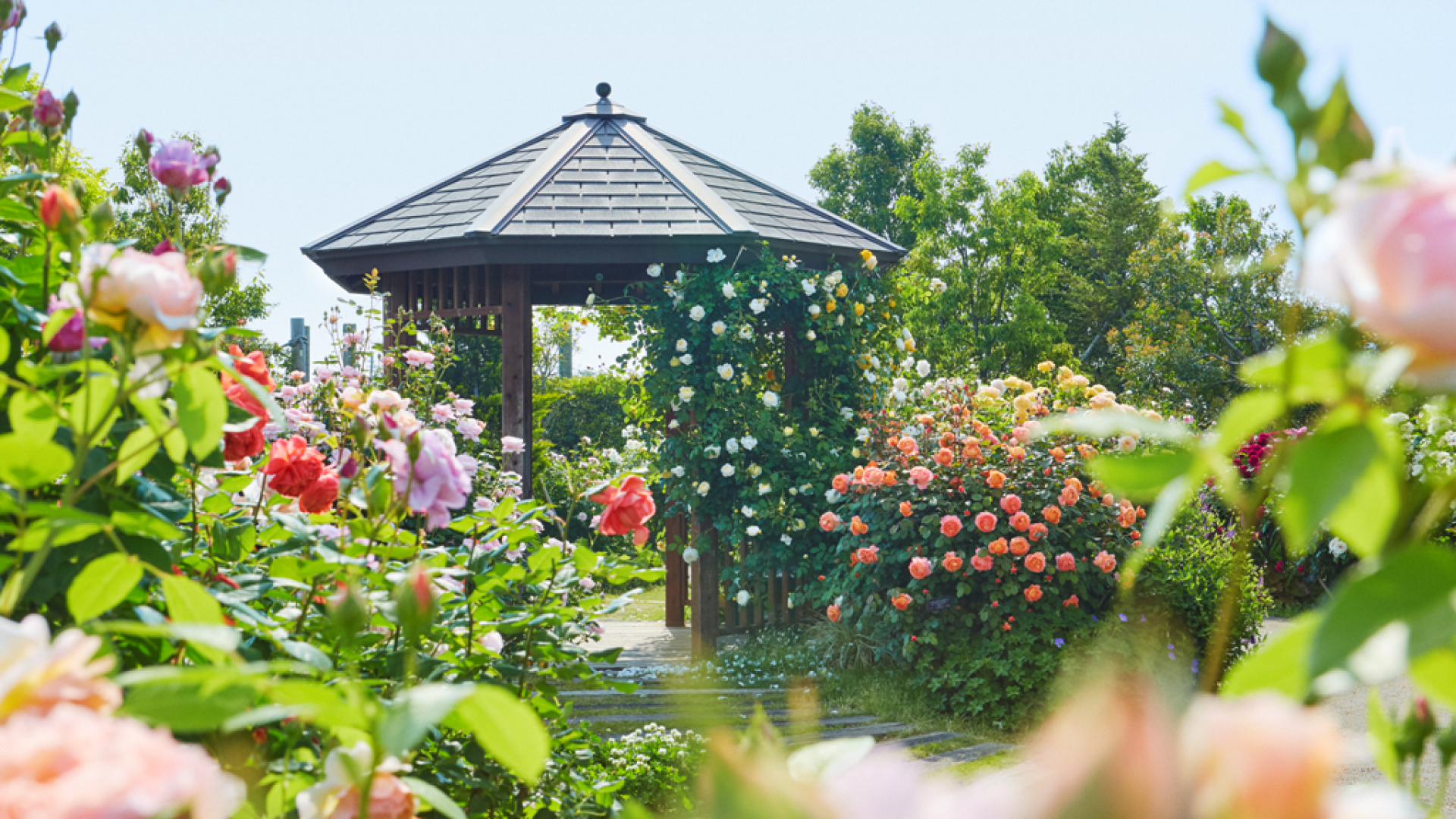 Centre des fleurs et de la végétation de la préfécture Kanagawa, jardin Kana (légumes et fleurs)