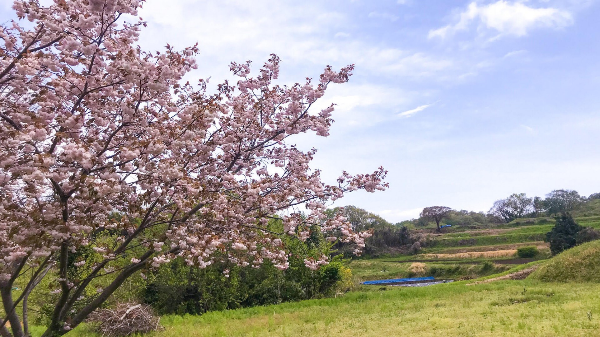 吉泽八景(Yurugi 之丘)