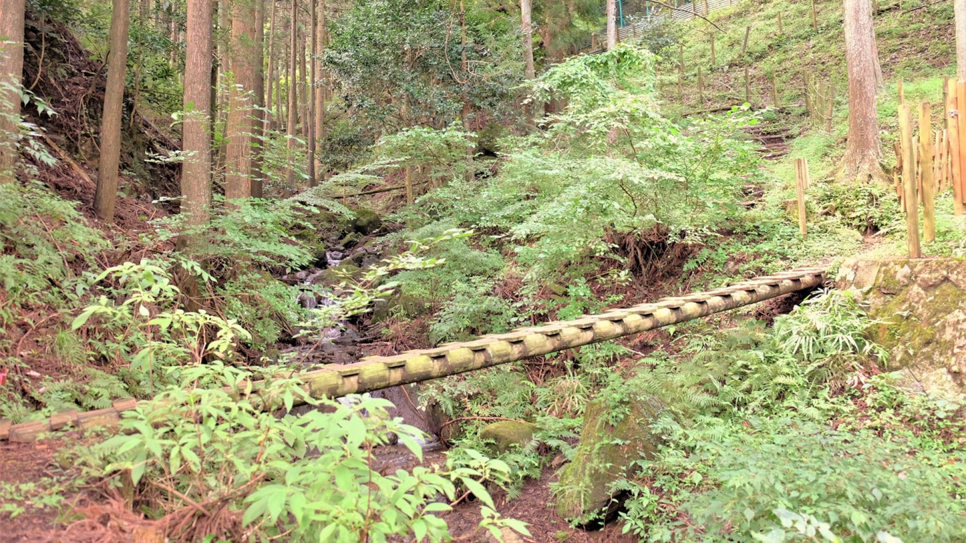 เส้นทางเดินป่าคุยุคุเคียวคุ (99 โค้ง)