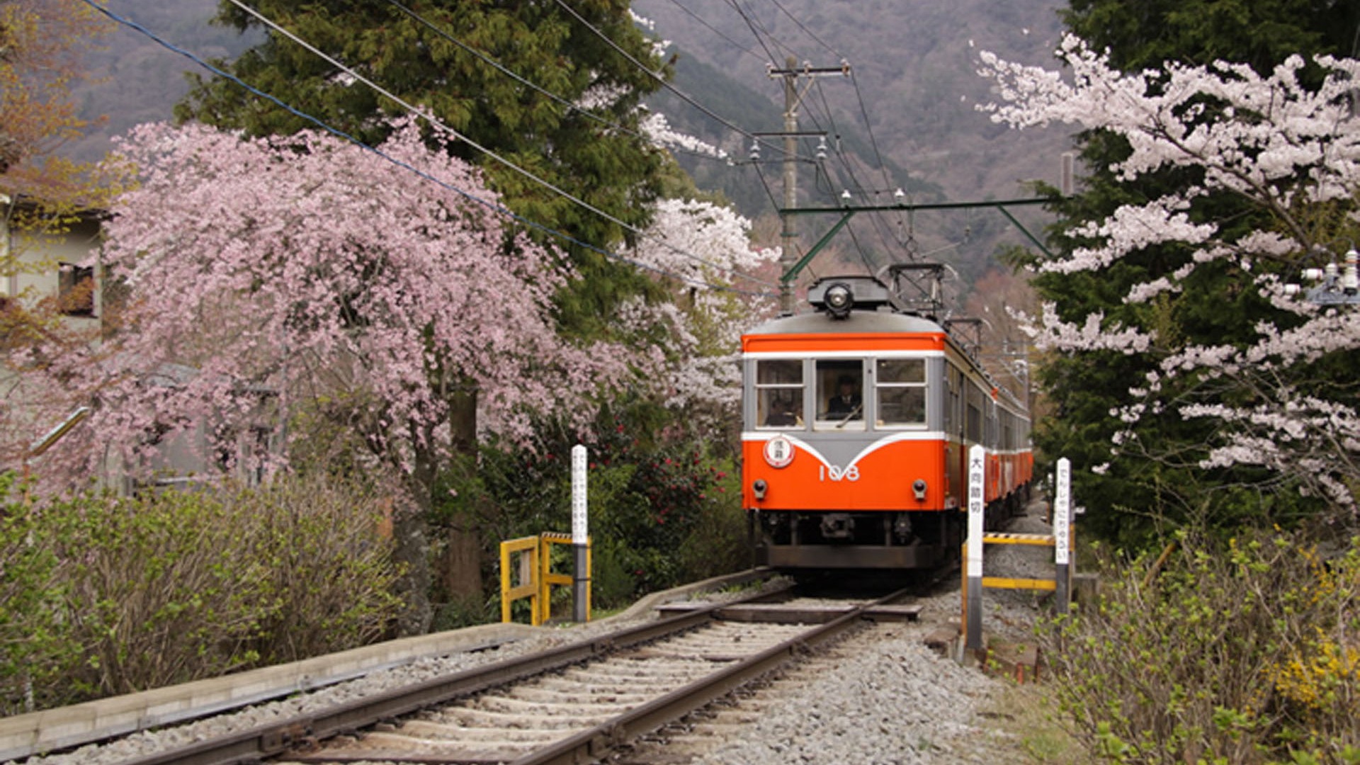 Hakone Tozan Eisenbahn