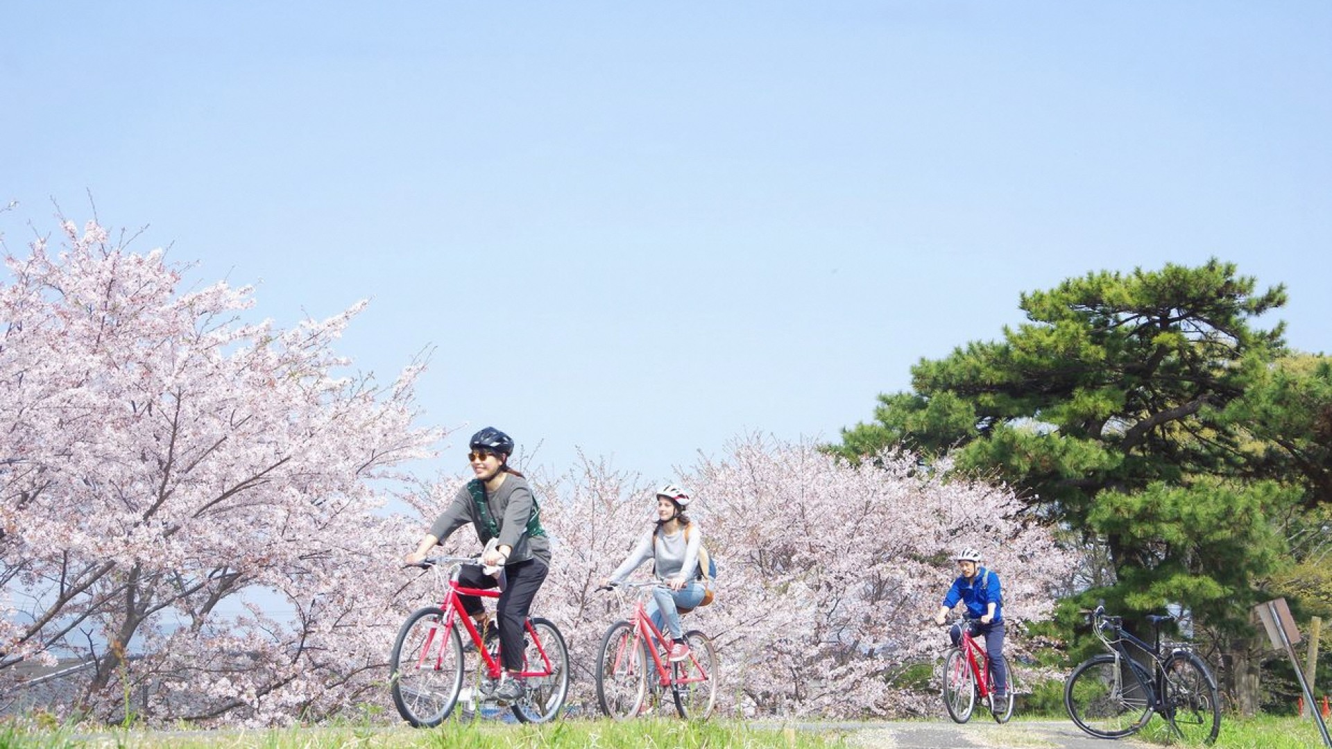 小田原サイクリングツアー - 目的地 - Tokyo Day Trip - 東京から 