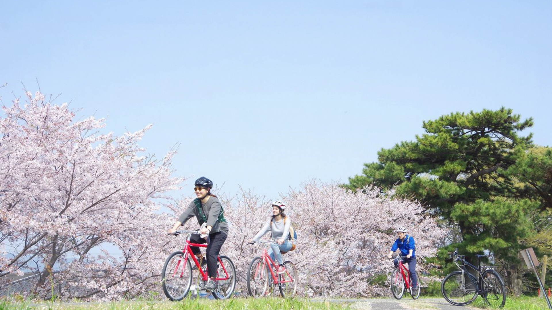 Tour à vélo d'Odawara