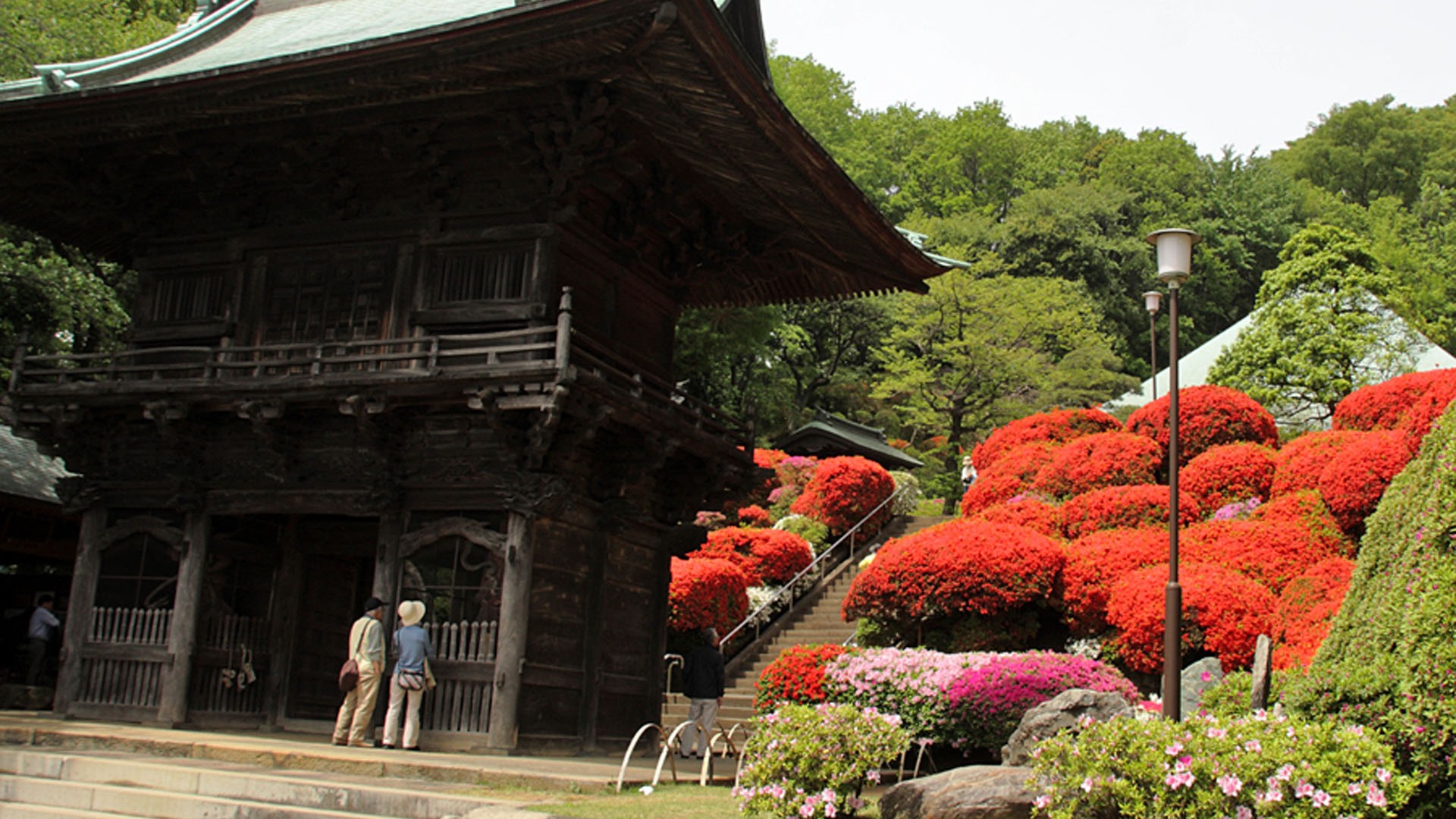 Le temple Togaku-in (Tsutsuji)