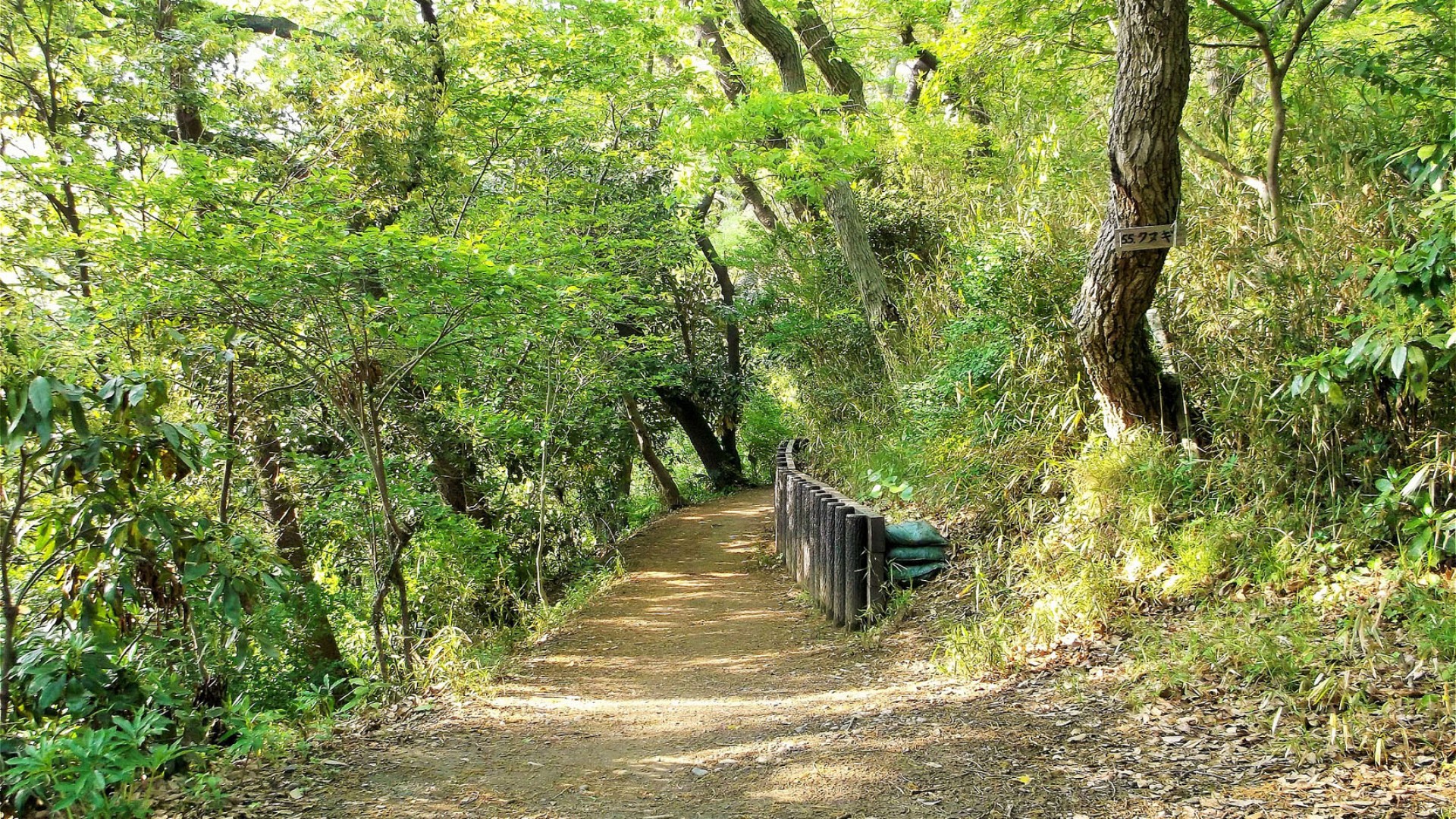 Chemin de randonnée du col de Rokkoku
