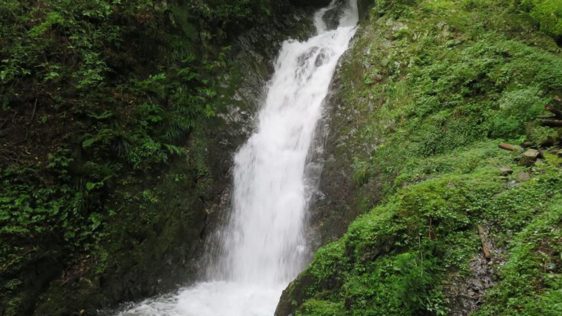 髭僧の滝