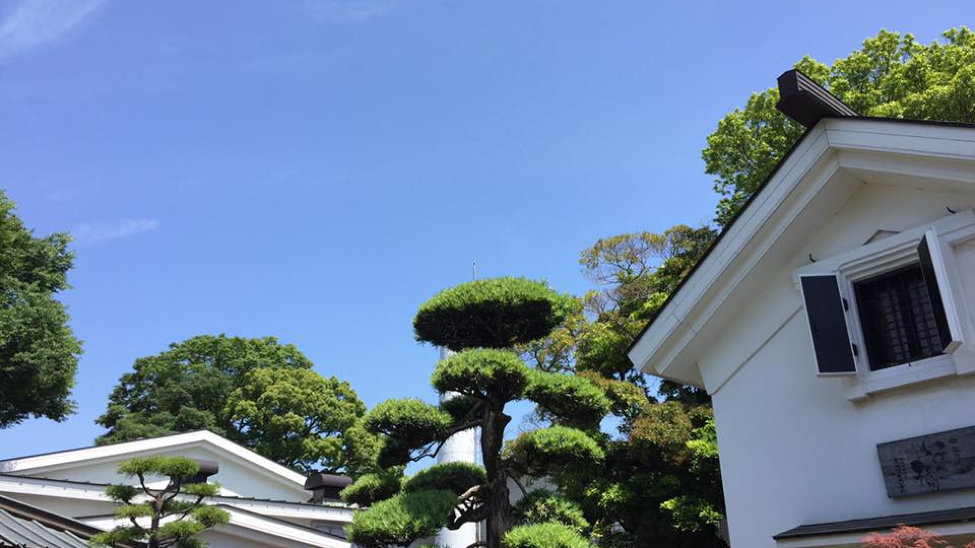 啤酒店“疏雨根”