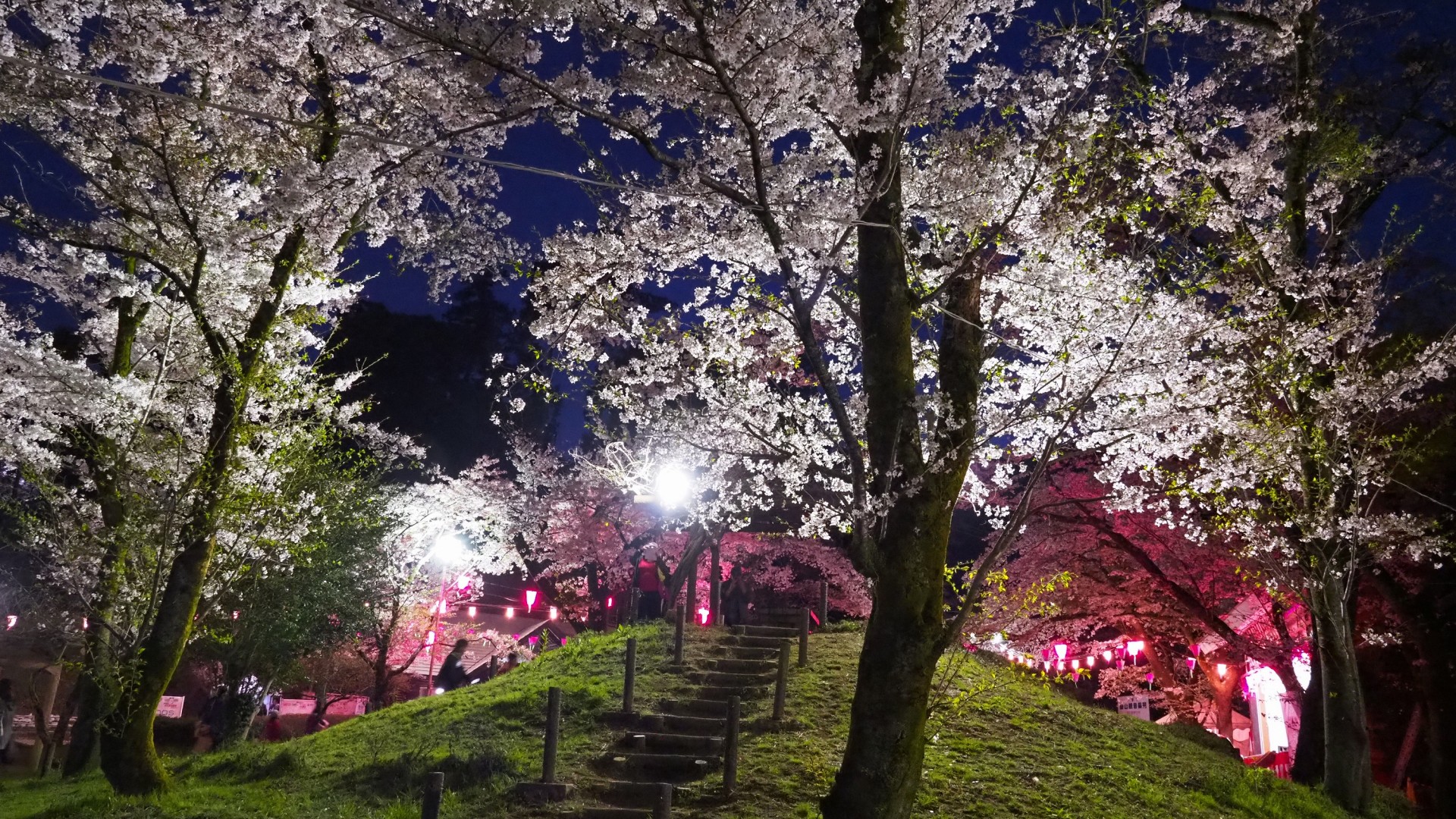 飯山白山森林公園 目的地 Tokyo Day Trip 東京から神奈川への日帰り旅行