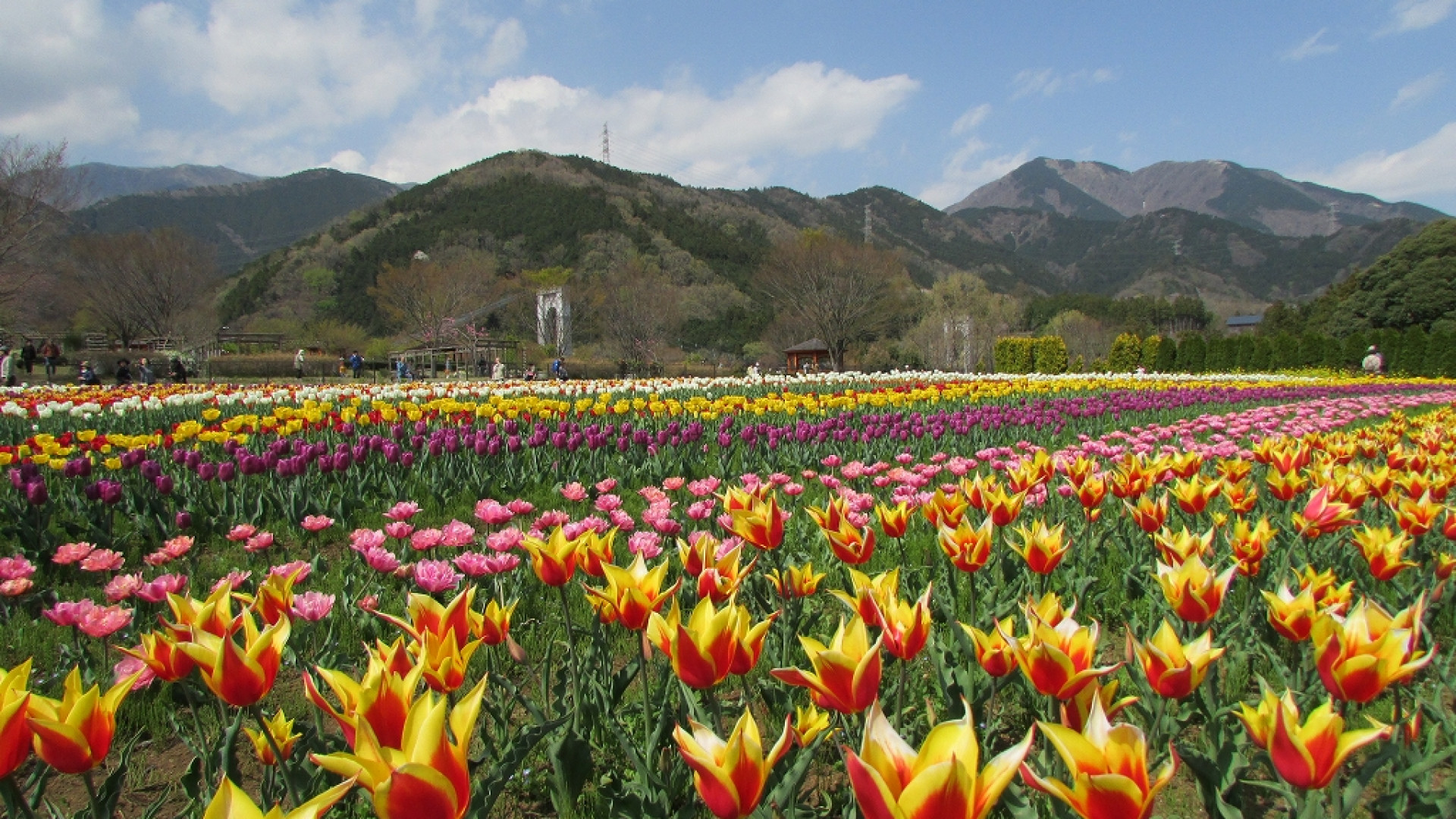 Kanagawa Parc Préfectoral Hadano Togawa