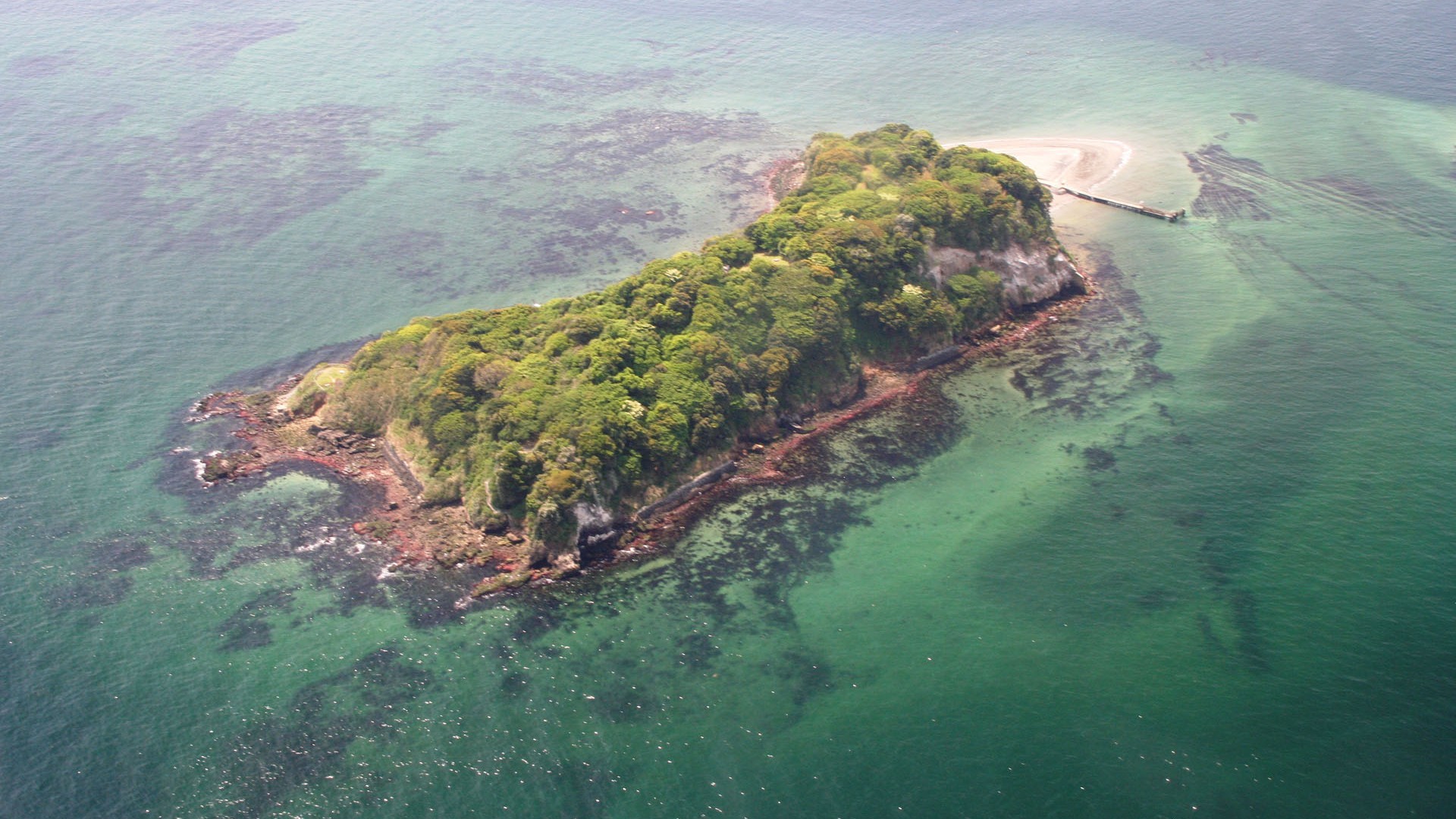 無人島・猿島