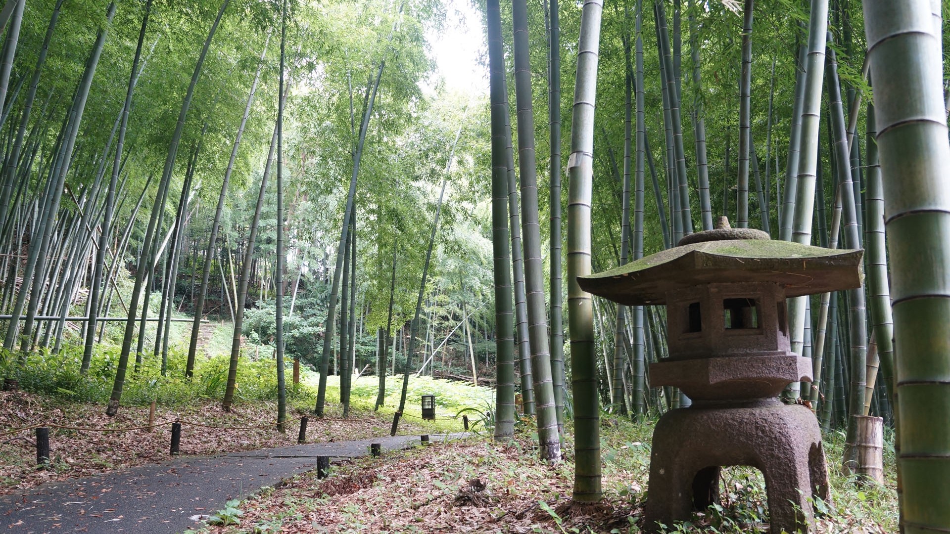 Arai Castle Ruins Park