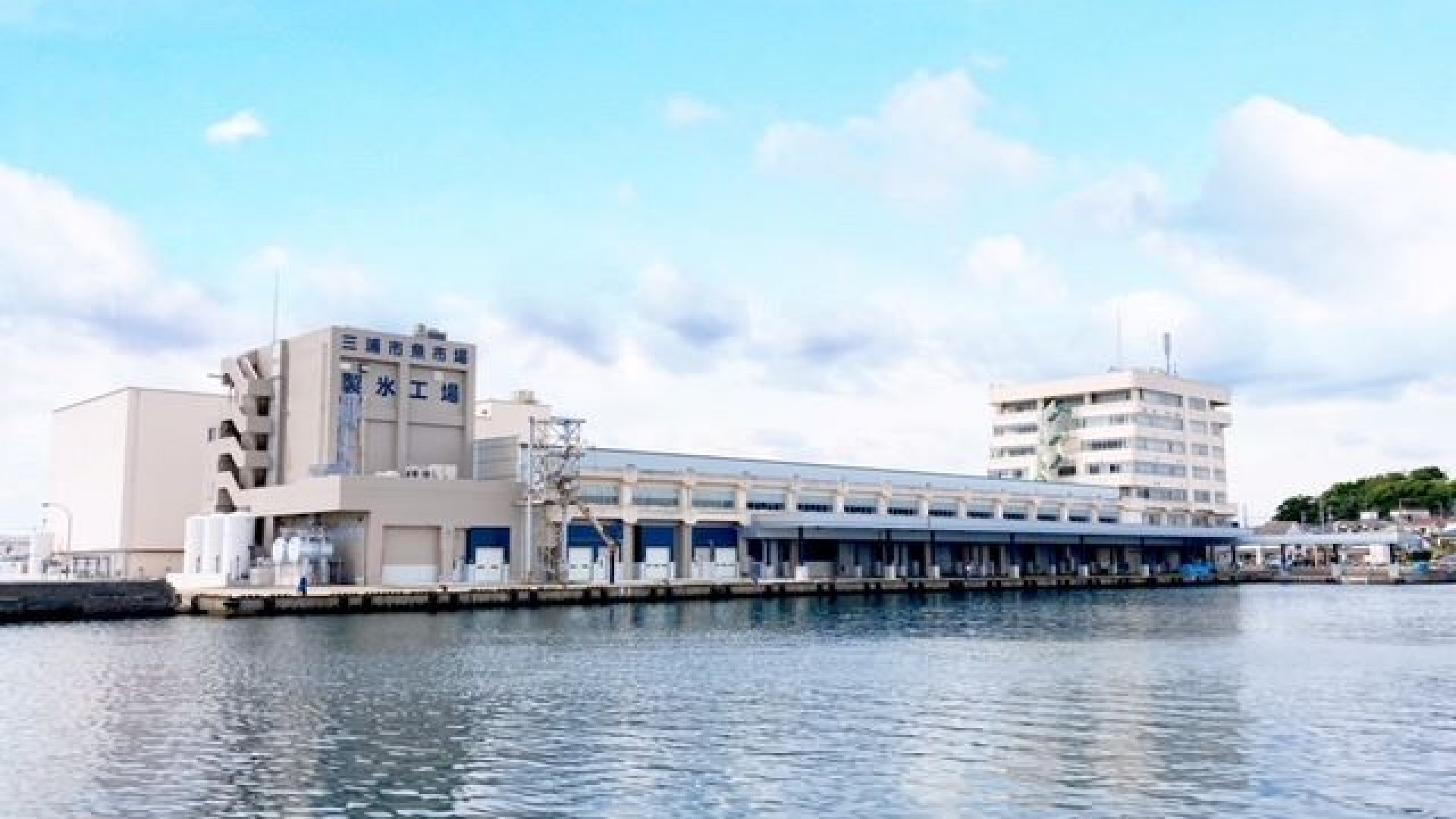 Miura Stadt Misaki Meeresfrüchte Regionaler Großhandelsmarkt