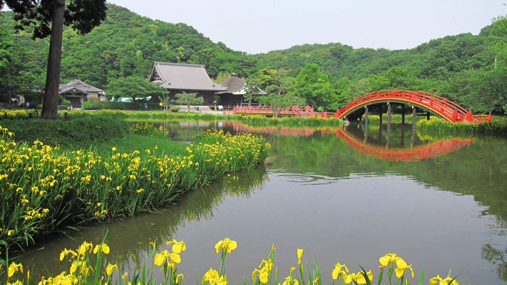 Le temple Shōmyōji