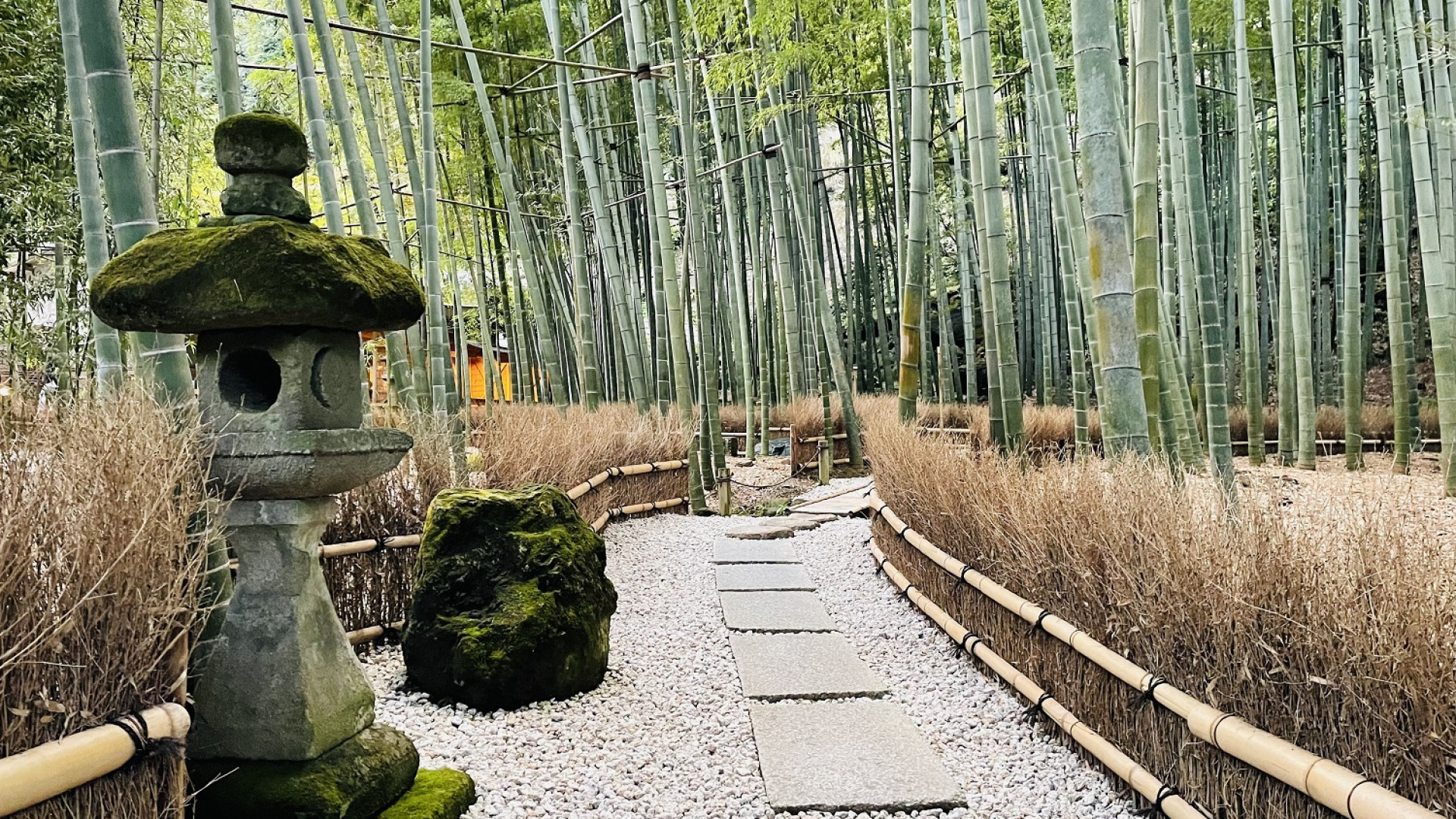 Hokoku-ji Temple