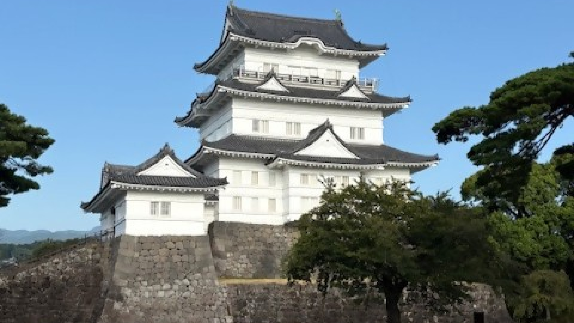Odawara Castle and City Walking Tour with a Volunteer Guide