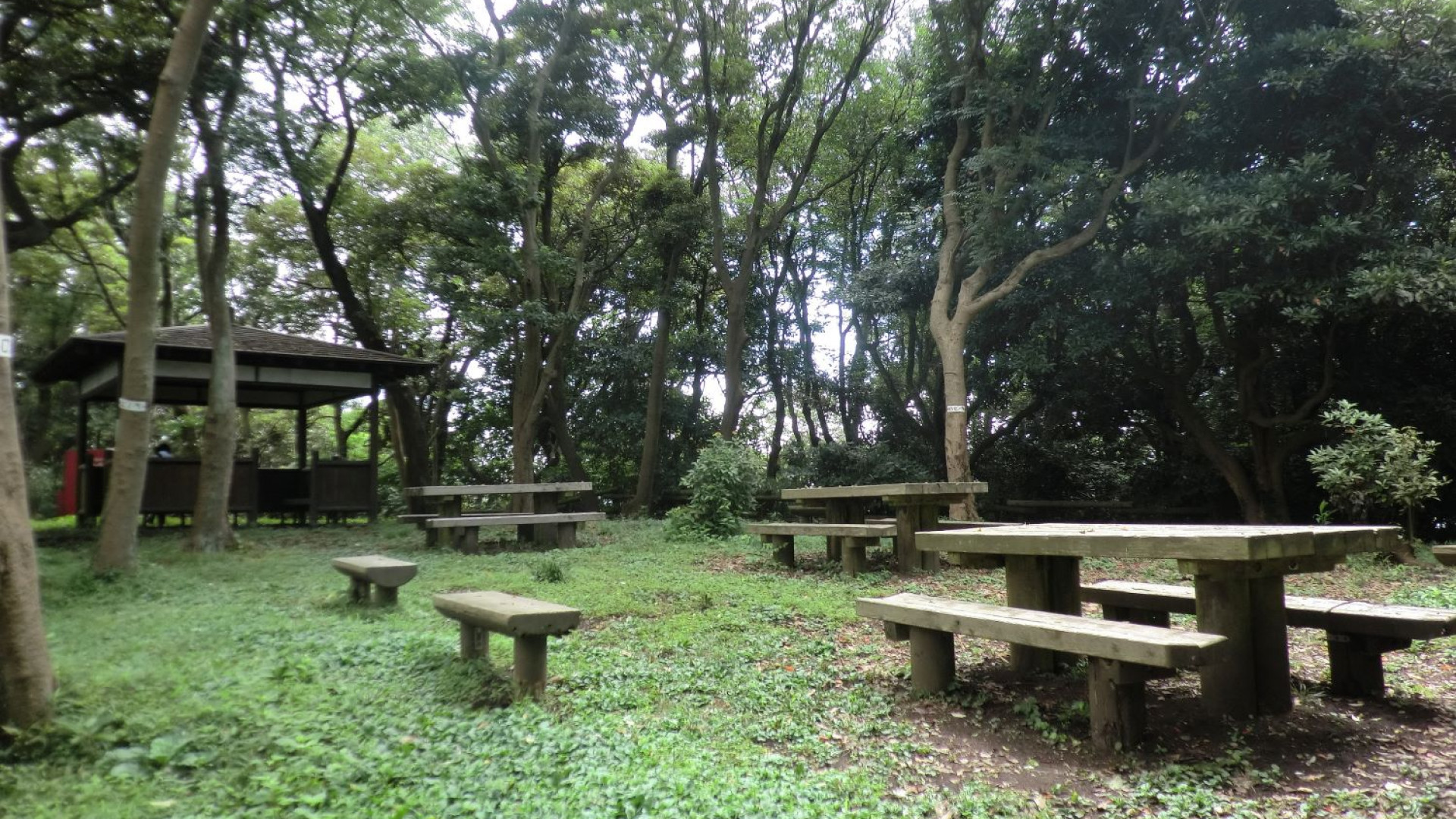 Hayamasangaokayama Ryokuchi Park