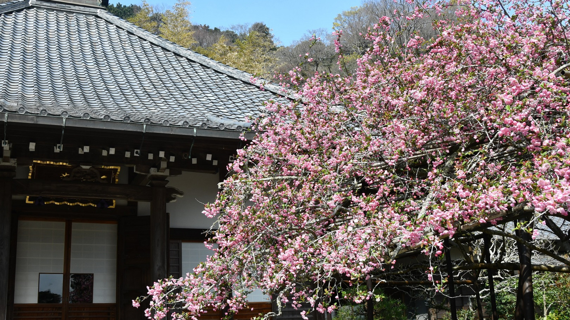Kousokuji Tempel