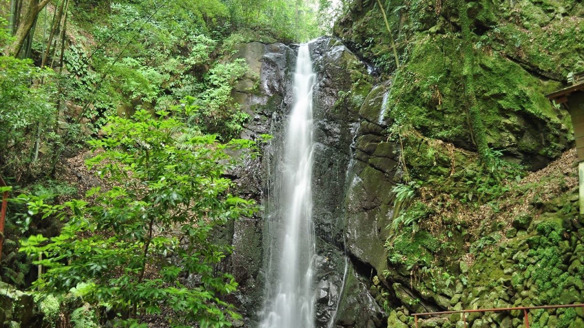 Fudo Falls (Yugawara)