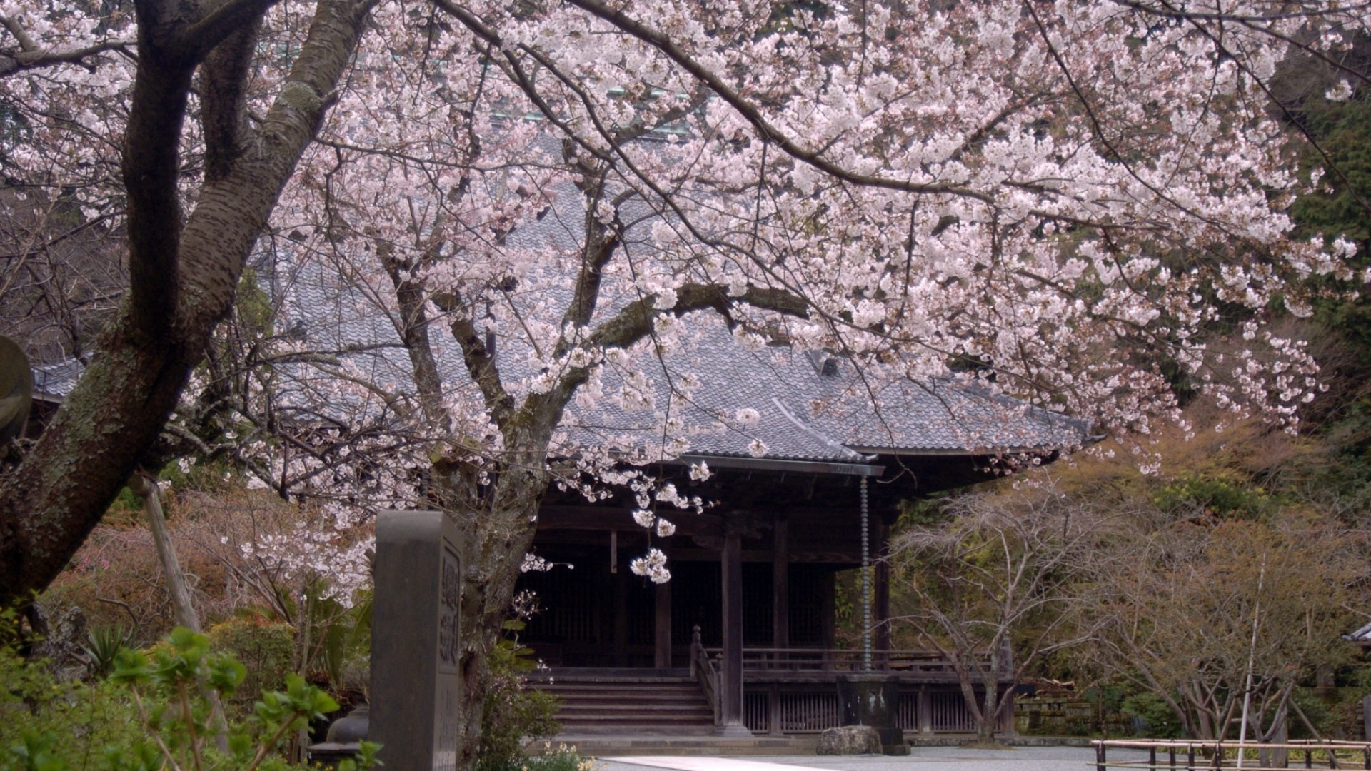 Temple Myōhon-ji