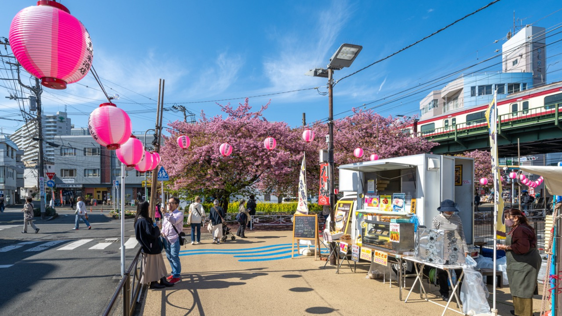 Miura Kaigan Cherry Blossom Festival