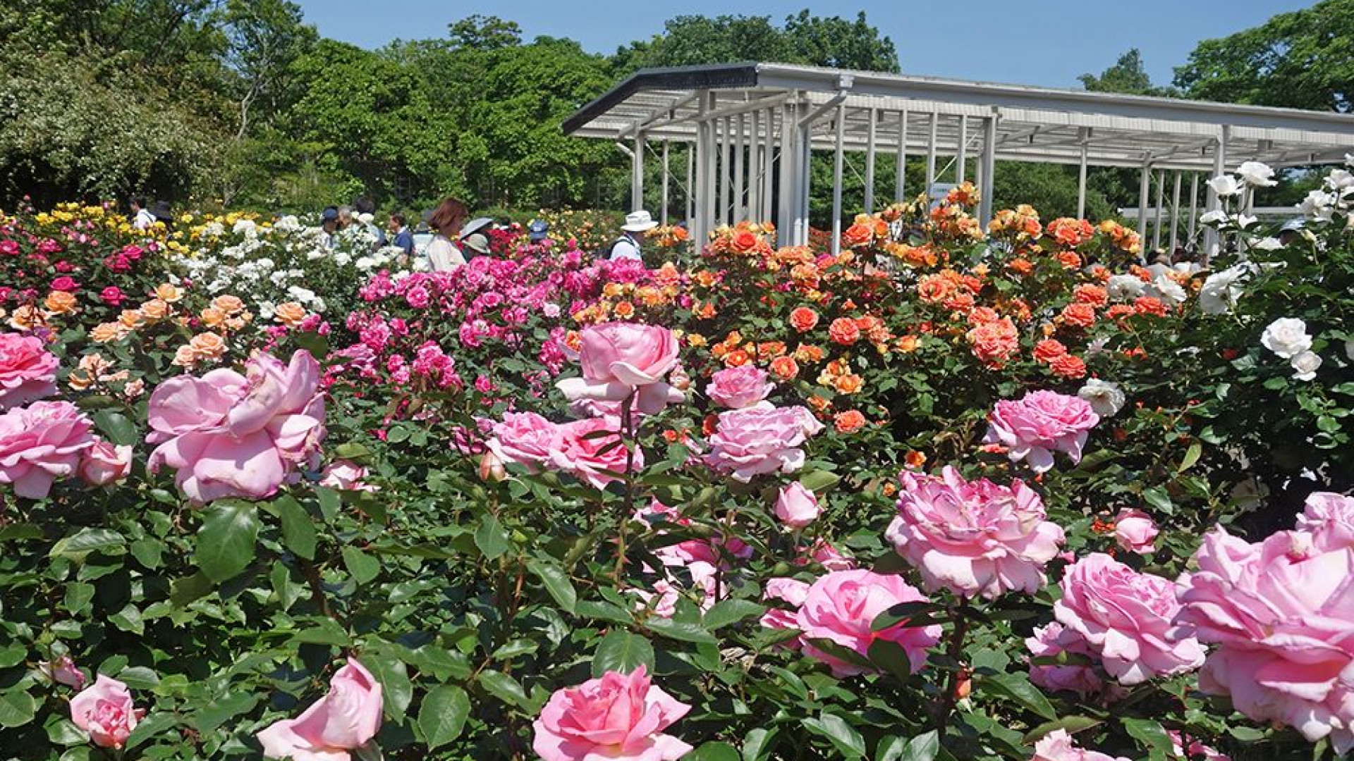 Le jardin botanique Ofuna de la préfécture de Kanagawa