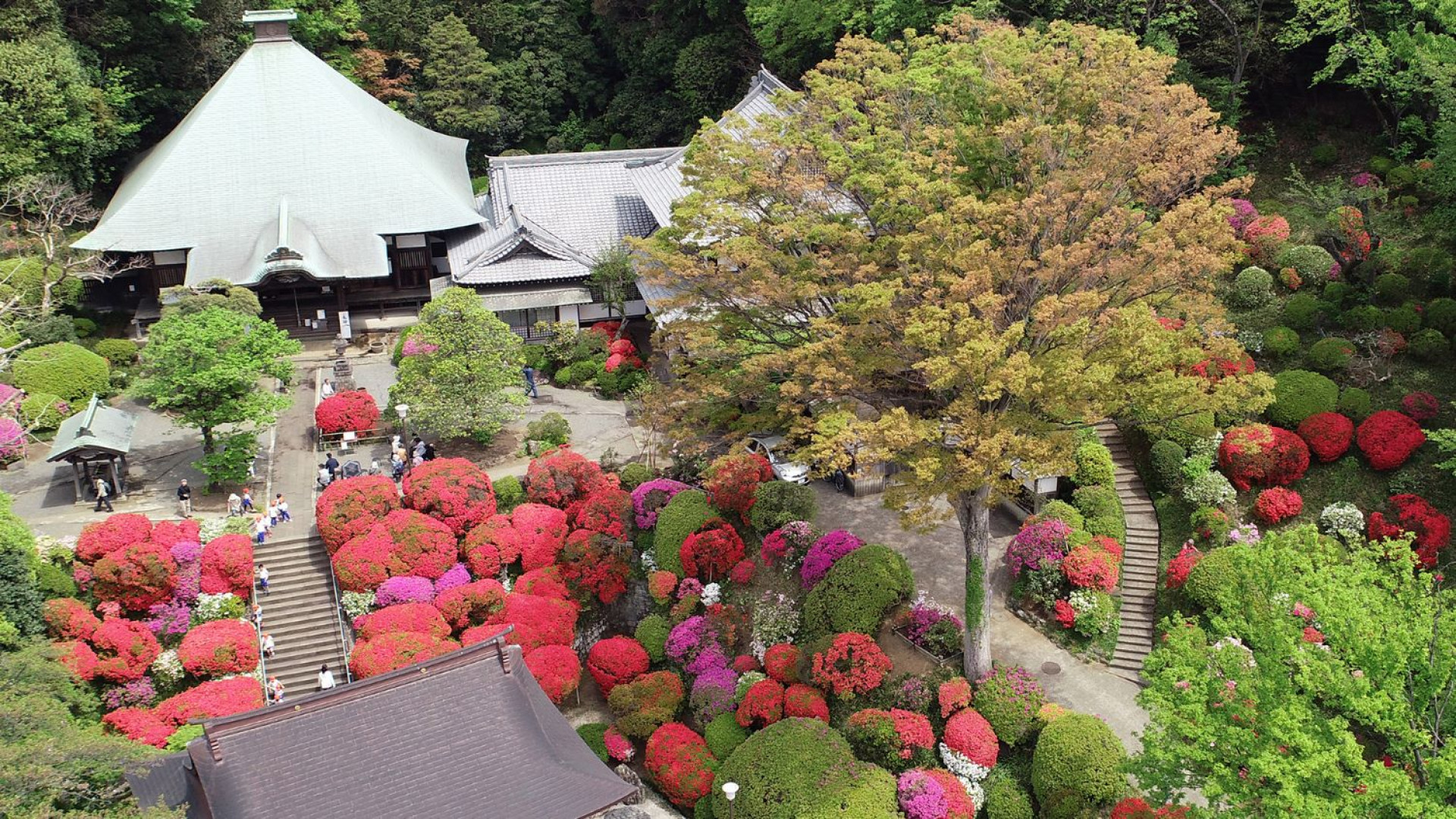 Temple bouddhique Togakuin (temple de l'azalée)