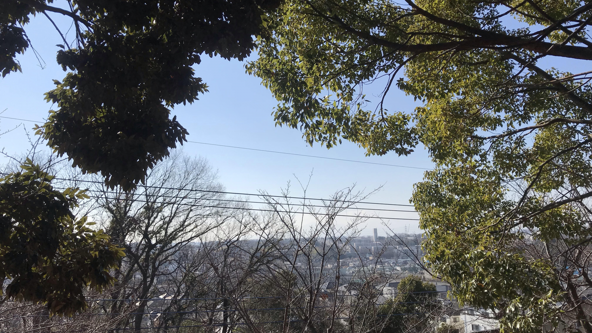 Kanahodo Manyouen (Zone nord de Asao-ku / chemin avec vue sur le Mont Fuji)