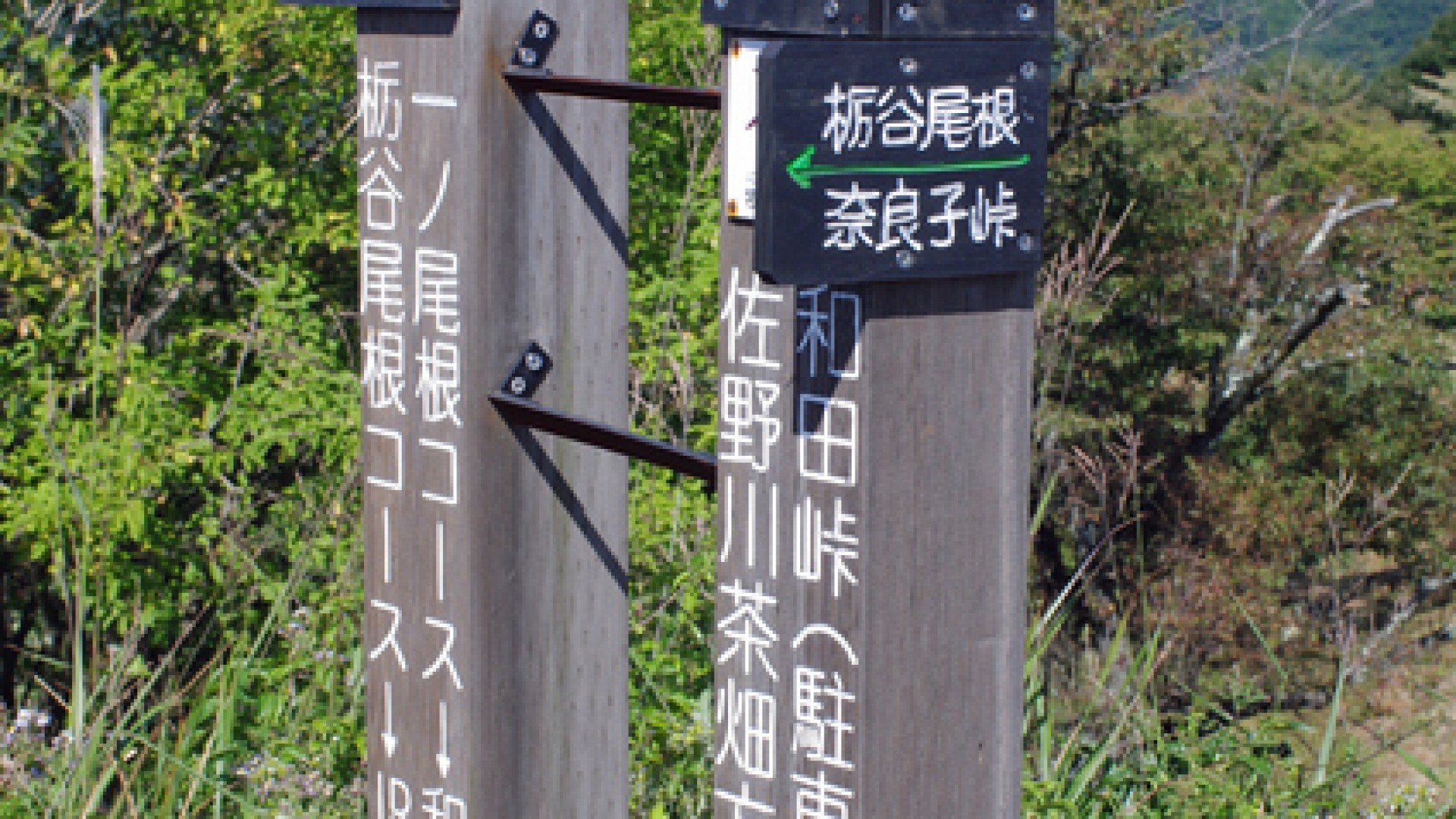 Ichi-no One Ridge Hiking Course (Mt. Jinba Climbing)