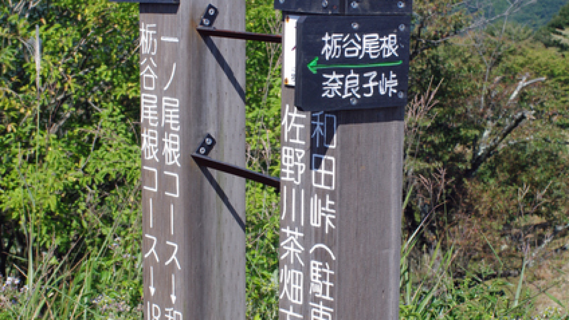 Recorrido Ichi-no One Ridge (escalada del monte Jinba)