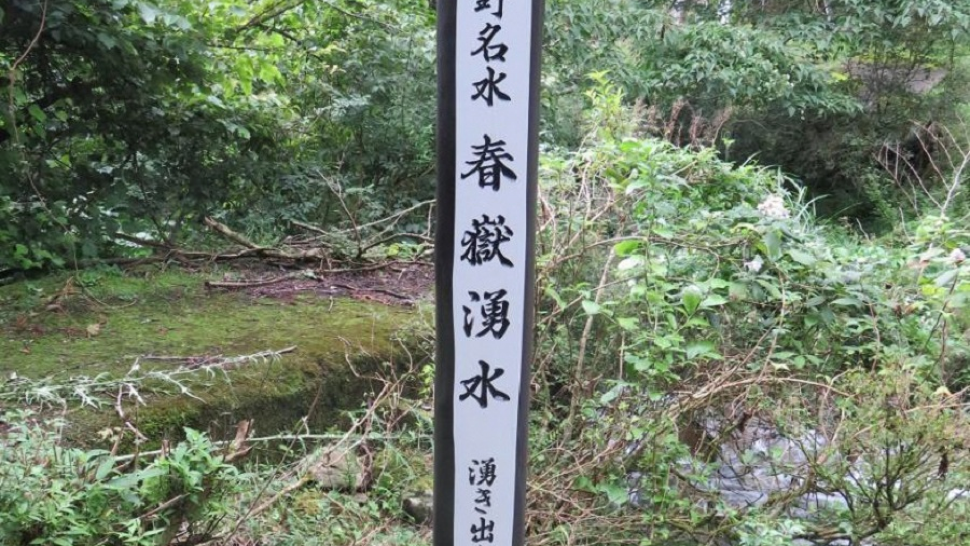 Agua de manantial Harutake Yuusui