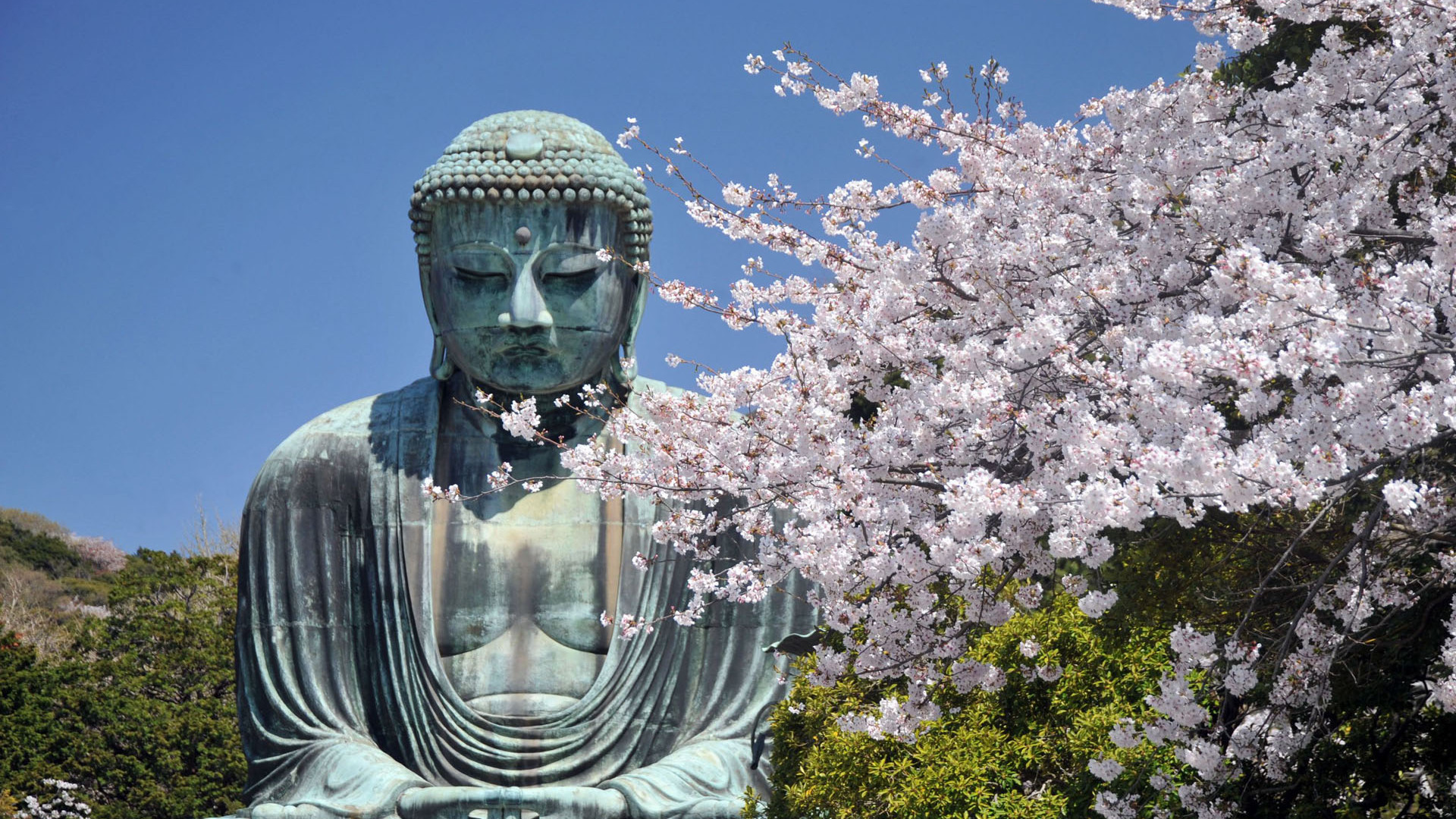 Der große Buddha von Kamakura Kotoku-in