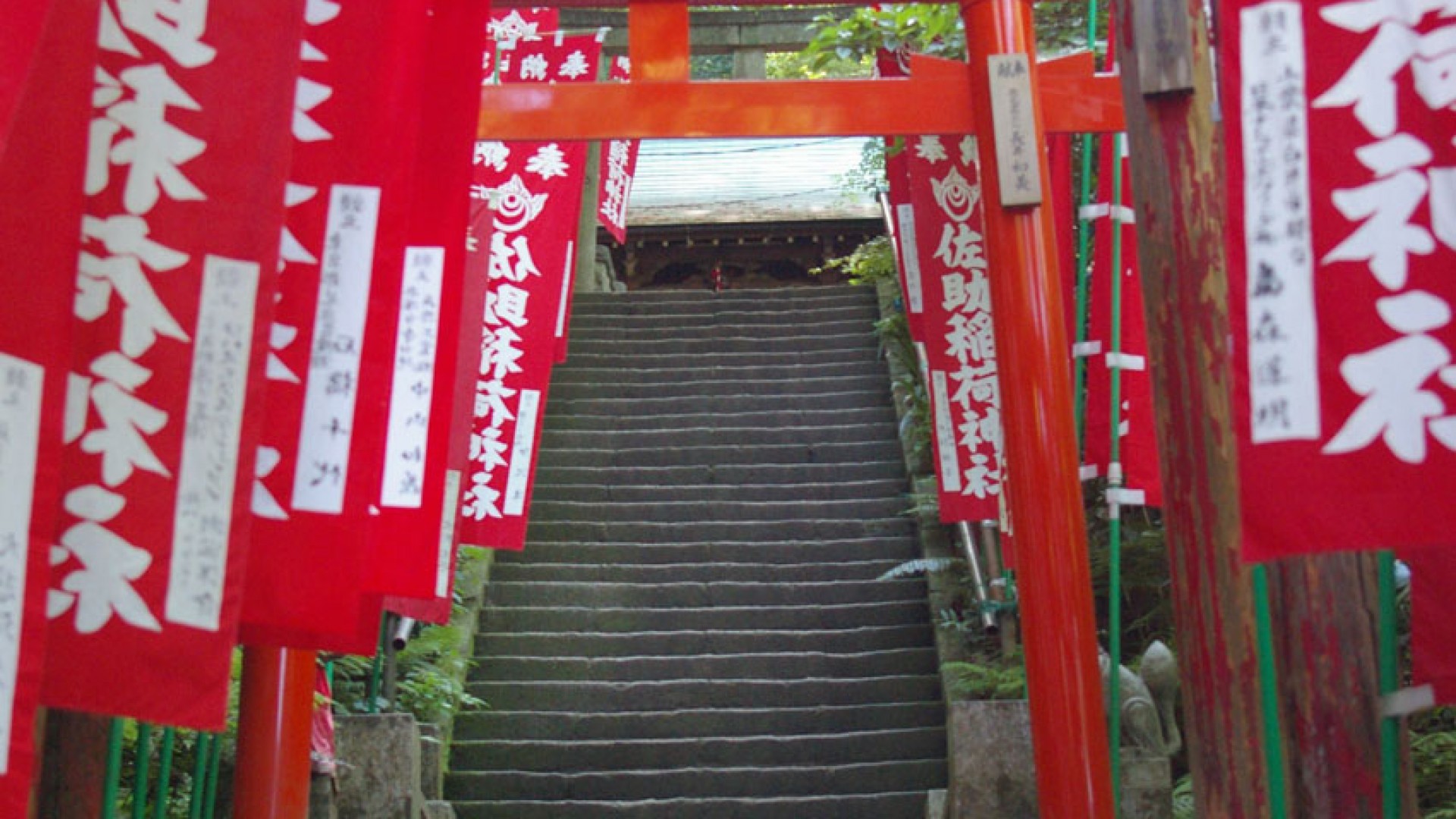 Sasuke Inari