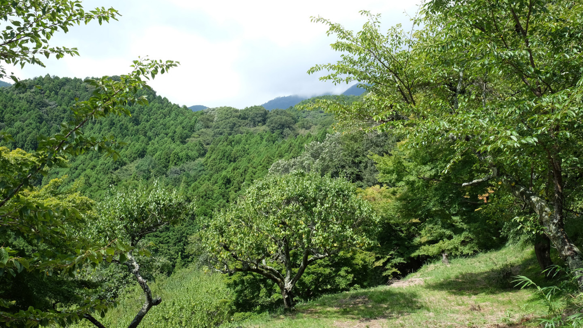 Monte Hinatayama