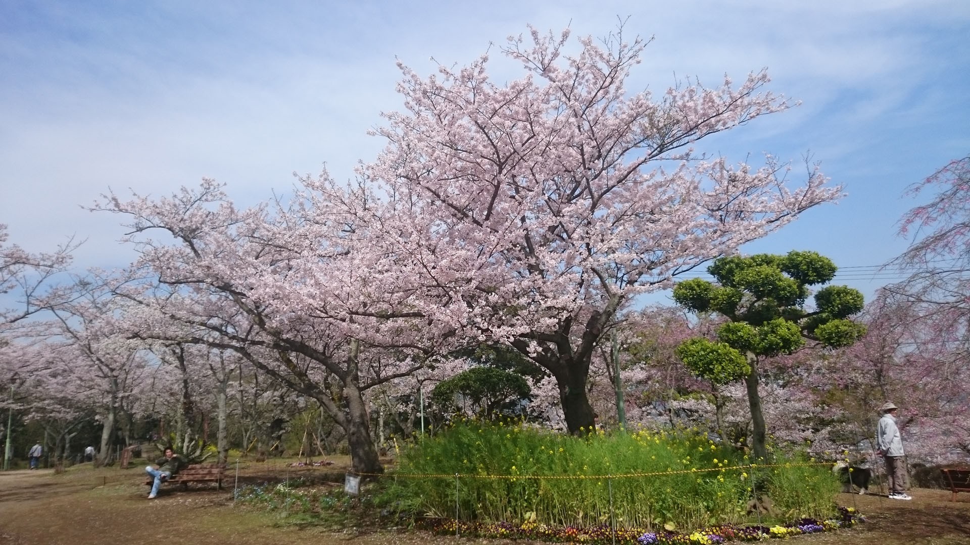 Kinugasayama Park