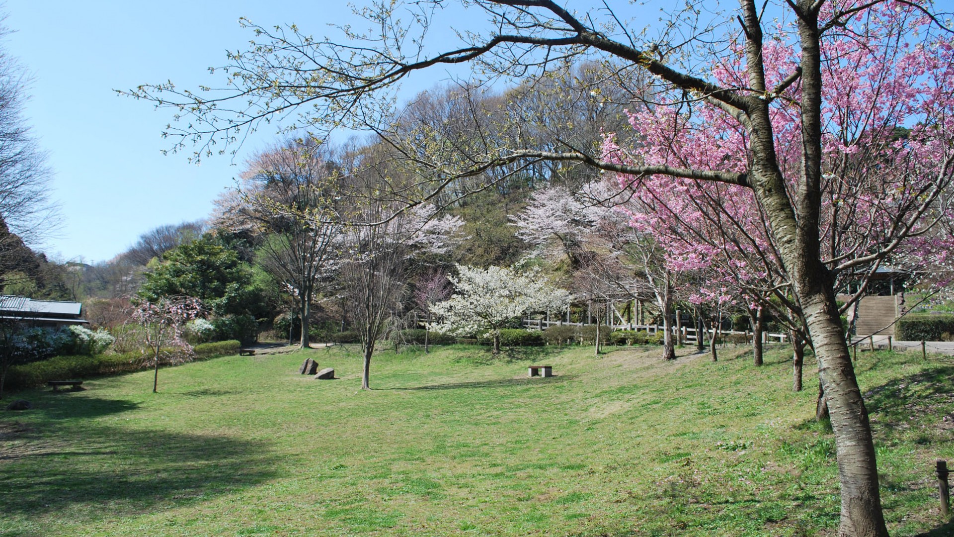 카라쿠라 중앙 공원